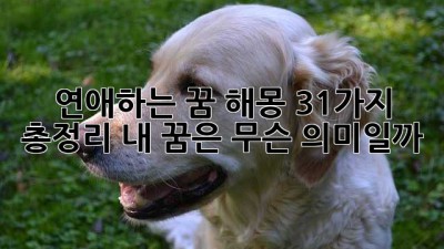 연애하는 꿈, 해몽 31가지 총정리! 내 꿈은 무슨 의미일까?
