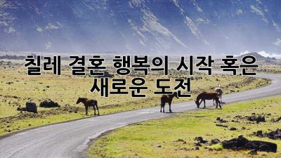 칠레 결혼: 행복의 시작, 혹은 새로운 도전?