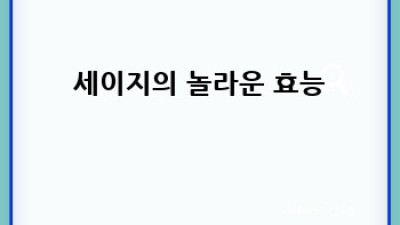 세이지 활용 요리 레시피 완벽 가이드